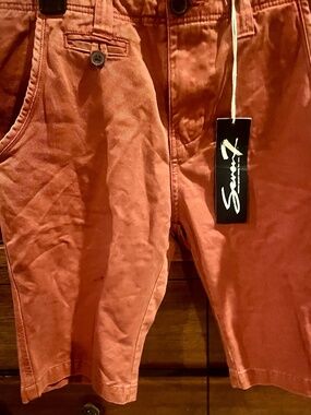Seven7 men Size 30 Shorts